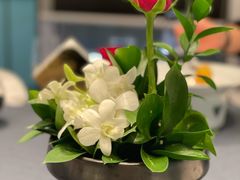 -鲁采LU STYLE(新天地店)