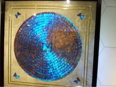 -上海昆虫博物馆