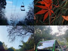 -岳麓山风景名胜区