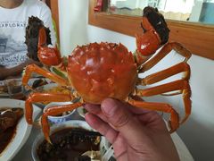 -乡乐园蟹庄·阳澄湖农家乐