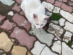 -哈尔滨北方森林动物园