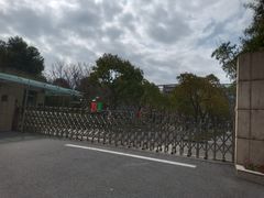-上海市实验学校