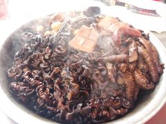 -春发芽葫芦头(科技二路旗舰店)