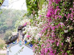 -深圳国际园林花卉博览园