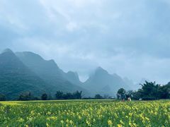 -村上春树