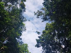 -广州市白云山风景名胜区