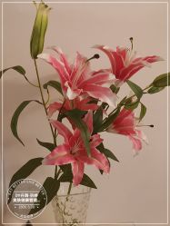 -丹漪·DANYI 美肤中心