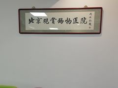-北京观赏动物医院·24小时大型综合·猫专科·异宠专科
