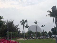 -野狸岛