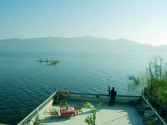 -才村湿地公园