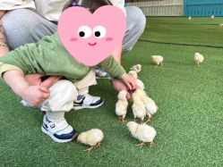 点击看大图 -萌宠亲子动物乐园(槐房万达店)