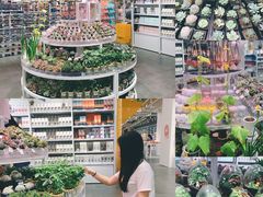 -KKV(深圳kk one 店)