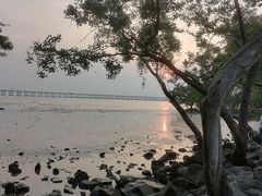 -宝安西湾红树林湿地公园