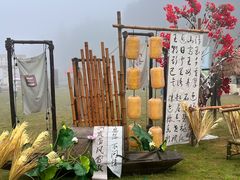 -玉苍山国家森林公园