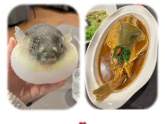 -肆月河豚·新淮扬(金融街店)