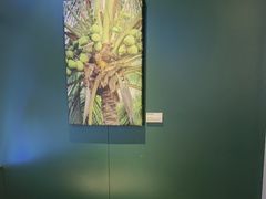 -烹然四季椰子鸡火锅(姚家园万象汇店)