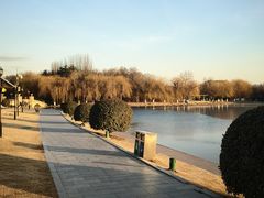 -Rabbit Cafe私房西餐甜点咖啡(栖霞路店)