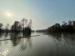 -池杉湖湿地公园