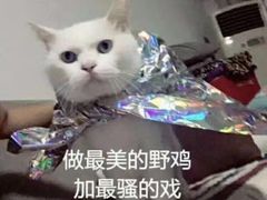 -Chanel(德基广场店)