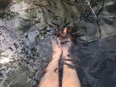 -三亚珠江南田温泉度假区