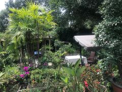 -丫口花园餐厅·融合菜