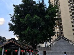 -杨箕村B区