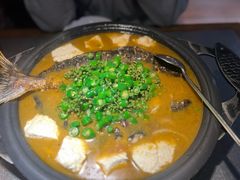 -探鱼·鲜青椒爽麻烤鱼(中山大信新都汇店)
