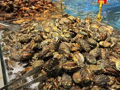 鲍鱼-钱库里海鲜自助(星海广场店)