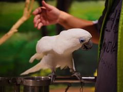 -绿色星球动物主题公园