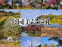 -东莞植物园