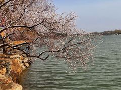 -颐和园-景明楼