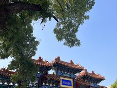 -荣国府