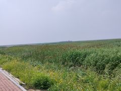 -红海滩国家风景廊道