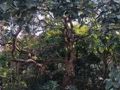 -云溪植物园