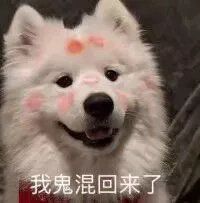 -S Team剧情密室(杭州龙翔桥店)