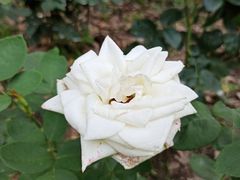 -共青国家森林公园-售票处