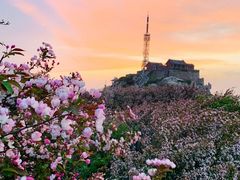 -泰山风景名胜区