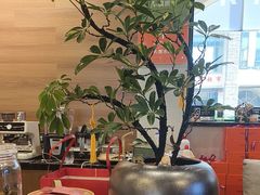 -威固车膜世家·汽车贴膜·隐形车衣·汽车改色·太阳膜(碧桂园店)