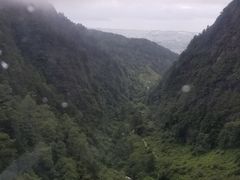 -瑞丰园庭院餐厅·白族传统家常菜