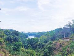 -阳台山森林公园