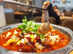 -十二点·辣椒炒肉(南山店)