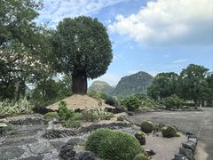 -Club Med地中海俱乐部·桂林度假村