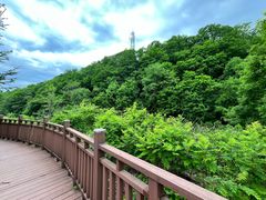 -三块石国家森林公园