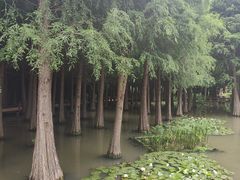 -捞渔河湿地公园