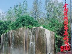 -合肥滨湖国家森林公园