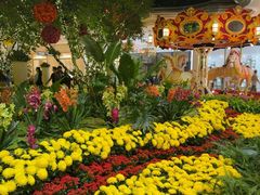 -拉斯维加斯永利酒店