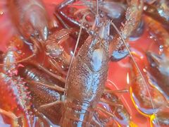 -三炮儿烧烤·羊锅·铁锅炖(南京首店)