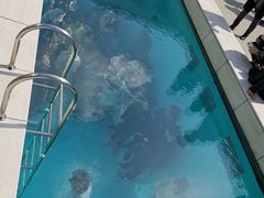 -金泽21世纪美术馆