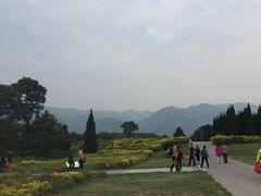 -秦始皇帝陵博物院-丽山园