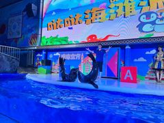 -成都浩海立方海洋公园